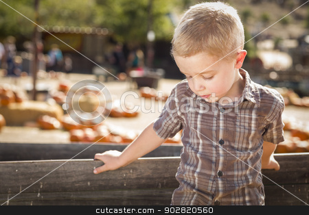 To use this stock image in your creative project, please select the size you need over to the right and click the "Add to Cart" button.
Your downloaded image will come with the Cutcaster watermark removed so don’t worry about the watermark you see on this page. Sad Boy at Pumpkin Patch Farm Standing Against Wood Wagon stock photo, Adorable Sad Little Boy at Pumpkin Patch Farm Standing Against Old Wood Wagon.
by Andy Dean