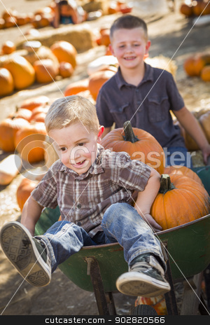 To use this stock image in your creative project, please select the size you need over to the right and click the "Add to Cart" button.
Your downloaded image will come with the Cutcaster watermark removed so don’t worry about the watermark you see on this page. Two Little Boys Playing in Wheelbarrow at the Pumpkin Patch stock photo, Two Little Boys Playing in Wheelbarrow at the Pumpkin Patch in a Rustic Country Setting. by Andy Dean