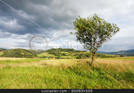 To use this stock image in your creative project, please select the size you need over to the right and click the "Add to Cart" button.
Your downloaded image will come with the Cutcaster watermark removed so don’t worry about the watermark you see on this page. Mountain landscape stock photo, Mountain landscape by WDGPhoto