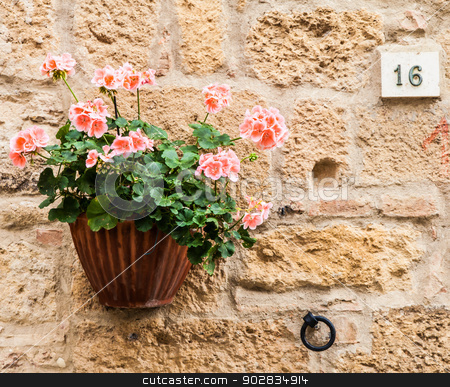 To use this stock image in your creative project, please select the size you need over to the right and click the "Add to Cart" button.
Your downloaded image will come with the Cutcaster watermark removed so don’t worry about the watermark you see on this page. Tuscan flowers stock photo, Pienza, Tuscany region, Italy. Old wall with flowers by Paolo Gallo