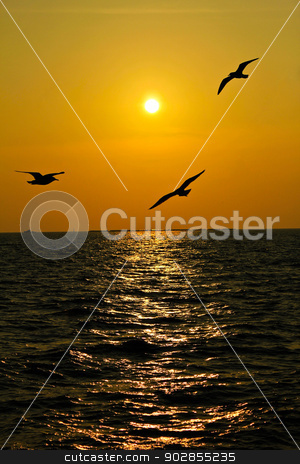 To use this stock image in your creative project, please select the size you need over to the right and click the "Add to Cart" button.
Your downloaded image will come with the Cutcaster watermark removed so don’t worry about the watermark you see on this page. Seagulls flying over the coast in Thailand in sunset. stock photo, Seagulls flying over the coast in Thailand in sunset. by doraclub