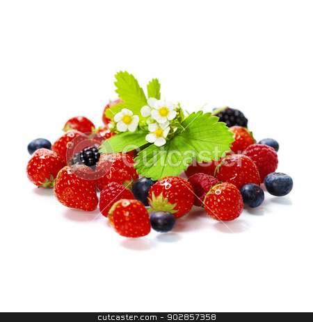 To use this stock image in your creative project, please select the size you need over to the right and click the "Add to Cart" button.
Your downloaded image will come with the Cutcaster watermark removed so don’t worry about the watermark you see on this page. fresh berries stock photo, fresh berries isolated on white background by klenova
