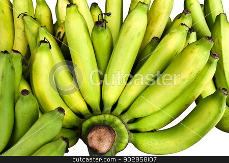To use this stock image in your creative project, please select the size you need over to the right and click the "Add to Cart" button.
Your downloaded image will come with the Cutcaster watermark removed so don’t worry about the watermark you see on this page. Bunch of bananas. stock photo, Bunch of bananas. by doraclub