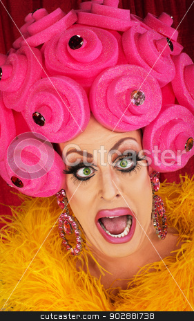 To use this stock image in your creative project, please select the size you need over to the right and click the "Add to Cart" button.
Your downloaded image will come with the Cutcaster watermark removed so don’t worry about the watermark you see on this page. Drag Queen Yelling stock photo, Man in boa and pink foam wig yelling by Scott Griessel