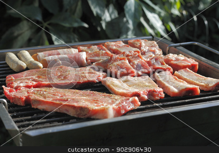 To use this stock image in your creative project, please select the size you need over to the right and click the "Add to Cart" button.
Your downloaded image will come with the Cutcaster watermark removed so don’t worry about the watermark you see on this page. Grill meat stock photo, Different kinds of meat and sausages from the grill by Torsten Dietrich