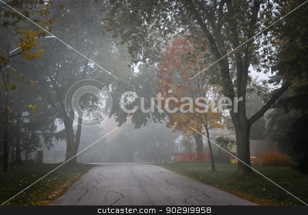 To use this stock image in your creative project, please select the size you need over to the right and click the "Add to Cart" button.
Your downloaded image will come with the Cutcaster watermark removed so don’t worry about the watermark you see on this page. Fall road with trees in fog stock photo, Fall trees on quiet foggy suburban street in Toronto, Canada. by Elena Elisseeva