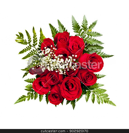 To use this stock image in your creative project, please select the size you need over to the right and click the "Add to Cart" button.
Your downloaded image will come with the Cutcaster watermark removed so don’t worry about the watermark you see on this page. Rose bouquet from above stock photo, Bouquet of a dozen red roses from above on white background by Elena Elisseeva