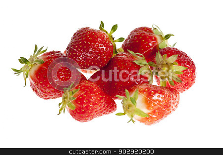 To use this stock image in your creative project, please select the size you need over to the right and click the "Add to Cart" button.
Your downloaded image will come with the Cutcaster watermark removed so don’t worry about the watermark you see on this page. Strawberries isolated stock photo, Fresh organic whole red strawberries isolated on white background by Elena Elisseeva