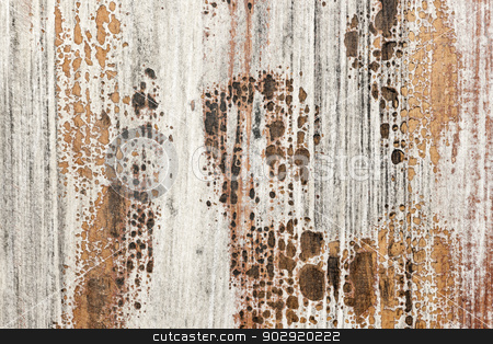 To use this stock image in your creative project, please select the size you need over to the right and click the "Add to Cart" button.
Your downloaded image will come with the Cutcaster watermark removed so don’t worry about the watermark you see on this page. Old painted wood texture stock photo, Old weathered chipped painted wood texture as grunge background by Elena Elisseeva