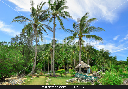 To use this stock image in your creative project, please select the size you need over to the right and click the "Add to Cart" button.
Your downloaded image will come with the Cutcaster watermark removed so don’t worry about the watermark you see on this page. Thailand Beach Temple Rocks Krabi stock photo, Perfect tropical bay on Koh Phi Phi Island, Thailand, Asia. by Thomas Jahn