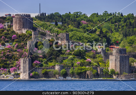 To use this stock image in your creative project, please select the size you need over to the right and click the "Add to Cart" button.
Your downloaded image will come with the Cutcaster watermark removed so don’t worry about the watermark you see on this page. Rumelian Castle stock photo, Rumelian Castle along the Bosphorus in istanbul by Scott Griessel
