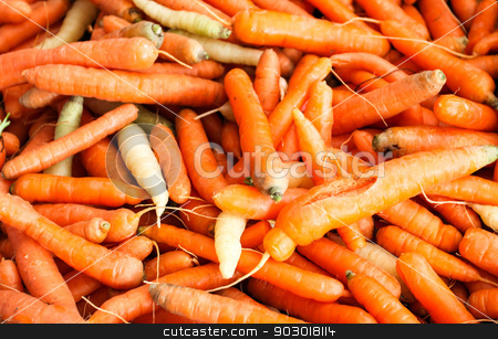 To use this stock image in your creative project, please select the size you need over to the right and click the "Add to Cart" button.
Your downloaded image will come with the Cutcaster watermark removed so don’t worry about the watermark you see on this page. Carrots stock photo, Carrots at a farmer's market as background image. by Henrik Lehnerer