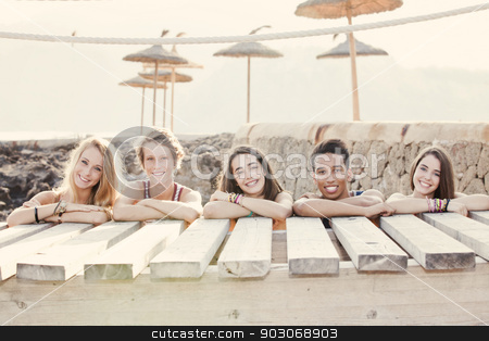 To use this stock image in your creative project, please select the size you need over to the right and click the "Add to Cart" button.
Your downloaded image will come with the Cutcaster watermark removed so don’t worry about the watermark you see on this page. diverse group of summer kids stock photo, diverse group of summer kids by mandygodbehear