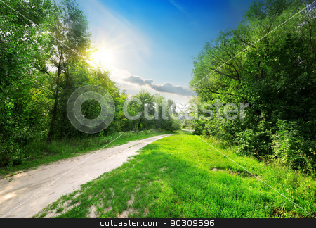 To use this stock image in your creative project, please select the size you need over to the right and click the "Add to Cart" button.
Your downloaded image will come with the Cutcaster watermark removed so don’t worry about the watermark you see on this page. Country road into forest stock photo, Country road into the beautiful spring forest by Givaga