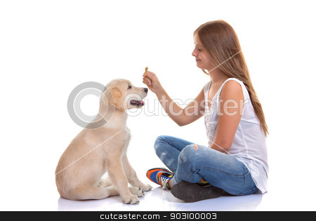 To use this stock image in your creative project, please select the size you need over to the right and click the "Add to Cart" button.
Your downloaded image will come with the Cutcaster watermark removed so don’t worry about the watermark you see on this page. owner training puppy dog stock photo, owner training puppy dog with treat by mandygodbehear