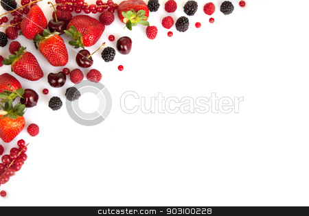 To use this stock image in your creative project, please select the size you need over to the right and click the "Add to Cart" button.
Your downloaded image will come with the Cutcaster watermark removed so don’t worry about the watermark you see on this page. frame border or edge of red fresh summer fruits stock photo, frame border or edge of red fresh summer fruits with copy space by mandygodbehear