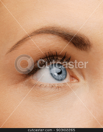 To use this stock image in your creative project, please select the size you need over to the right and click the "Add to Cart" button.
Your downloaded image will come with the Cutcaster watermark removed so don’t worry about the watermark you see on this page. woman's eye stock photo, bright closeup picture of woman's eye by Syda Productions
