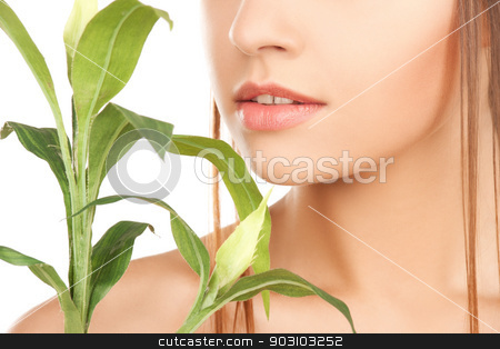 To use this stock image in your creative project, please select the size you need over to the right and click the "Add to Cart" button.
Your downloaded image will come with the Cutcaster watermark removed so don’t worry about the watermark you see on this page. woman with green sprout stock photo, closeup picture of woman with green sprout. by Syda Productions
