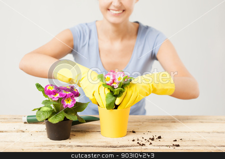 To use this stock image in your creative project, please select the size you need over to the right and click the "Add to Cart" button.
Your downloaded image will come with the Cutcaster watermark removed so don’t worry about the watermark you see on this page. housewife with flower in pot and gardening set stock photo, lovely housewife with flower in pot and gardening set by Syda Productions