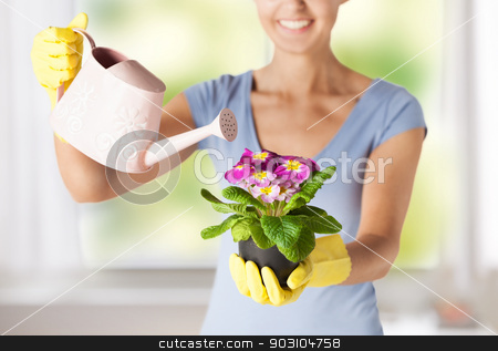 To use this stock image in your creative project, please select the size you need over to the right and click the "Add to Cart" button.
Your downloaded image will come with the Cutcaster watermark removed so don’t worry about the watermark you see on this page. woman holding pot with flower stock photo, woman holding pot with flower and watering can by Syda Productions