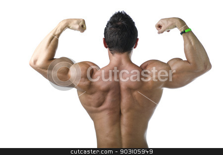 To use this stock image in your creative project, please select the size you need over to the right and click the "Add to Cart" button.
Your downloaded image will come with the Cutcaster watermark removed so don’t worry about the watermark you see on this page. Back double biceps pose by young bodybuilder stock photo, Back double biceps pose by young bodybuilder. Isolated on white background by Stefano Cavoretto