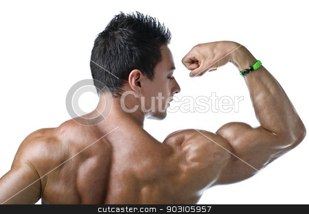 To use this stock image in your creative project, please select the size you need over to the right and click the "Add to Cart" button.
Your downloaded image will come with the Cutcaster watermark removed so don’t worry about the watermark you see on this page. Muscular young bodybuilder's back. Looking at bicep stock photo, Muscular young bodybuilder seen from the back, looking at his own bicep. Isolated on white by Stefano Cavoretto