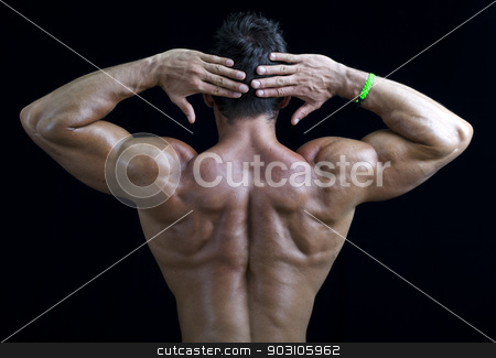 To use this stock image in your creative project, please select the size you need over to the right and click the "Add to Cart" button.
Your downloaded image will come with the Cutcaster watermark removed so don’t worry about the watermark you see on this page. Young muscular bodybuilder's back, hands behind his head stock photo, Young muscular bodybuilder's back, hands behind his head. On black background by Stefano Cavoretto