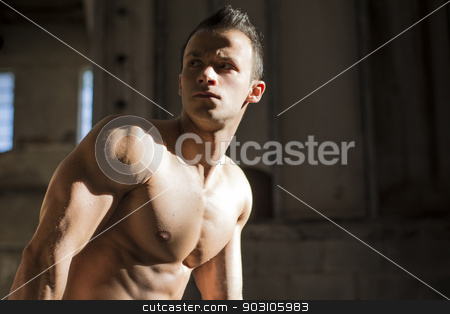 To use this stock image in your creative project, please select the size you need over to the right and click the "Add to Cart" button.
Your downloaded image will come with the Cutcaster watermark removed so don’t worry about the watermark you see on this page. Muscular shirtless young man in abandoned warehouse standing stock photo, Muscular shirtless young man in abandoned warehouse standing, looking away. Copy-space by Stefano Cavoretto