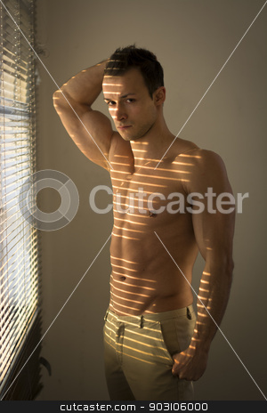 To use this stock image in your creative project, please select the size you need over to the right and click the "Add to Cart" button.
Your downloaded image will come with the Cutcaster watermark removed so don’t worry about the watermark you see on this page. Muscular shirtless man lit by sun behind venetian blinds stock photo, Muscular shirtless man lit by sun behind venetian blinds looking at camera by Stefano Cavoretto