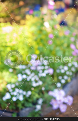 To use this stock image in your creative project, please select the size you need over to the right and click the "Add to Cart" button.
Your downloaded image will come with the Cutcaster watermark removed so don’t worry about the watermark you see on this page. Defocused flower garden stock photo, Abstract blurred out of focus background with flower garden by Elena Elisseeva