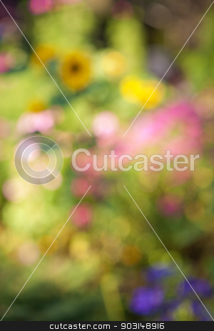 To use this stock image in your creative project, please select the size you need over to the right and click the "Add to Cart" button.
Your downloaded image will come with the Cutcaster watermark removed so don’t worry about the watermark you see on this page. Defocused flower garden stock photo, Abstract blurred out of focus background with flower garden by Elena Elisseeva