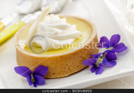 To use this stock image in your creative project, please select the size you need over to the right and click the "Add to Cart" button.
Your downloaded image will come with the Cutcaster watermark removed so don’t worry about the watermark you see on this page. Lemon tart dessert stock photo, Fresh gourmet lemon dessert tart with edible violet flowers garnish by Elena Elisseeva