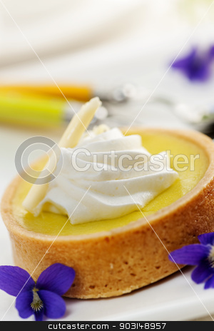 To use this stock image in your creative project, please select the size you need over to the right and click the "Add to Cart" button.
Your downloaded image will come with the Cutcaster watermark removed so don’t worry about the watermark you see on this page. Lemon tart dessert stock photo, Fresh gourmet lemon dessert tart with edible violet flowers garnish by Elena Elisseeva