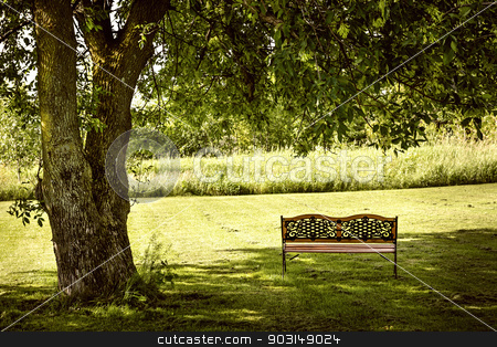 To use this stock image in your creative project, please select the size you need over to the right and click the "Add to Cart" button.
Your downloaded image will come with the Cutcaster watermark removed so don’t worry about the watermark you see on this page. Park bench under tree stock photo, Bench under lush shady tree in summer park by Elena Elisseeva