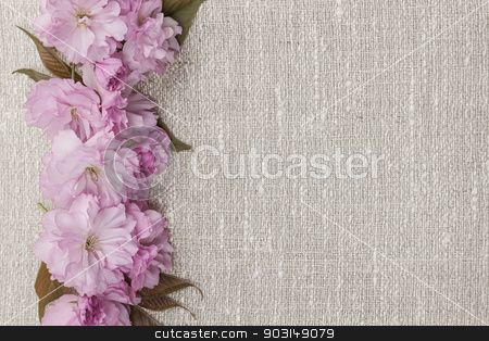 To use this stock image in your creative project, please select the size you need over to the right and click the "Add to Cart" button.
Your downloaded image will come with the Cutcaster watermark removed so don’t worry about the watermark you see on this page. Cherry blossoms on linen background stock photo, Border of pink cherry blossoms row on natural rustic linen background by Elena Elisseeva