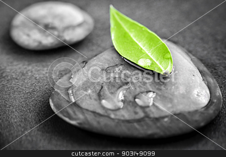 To use this stock image in your creative project, please select the size you need over to the right and click the "Add to Cart" button.
Your downloaded image will come with the Cutcaster watermark removed so don’t worry about the watermark you see on this page. Stones with green leaf stock photo, Black and white zen stones submerged in water with color accented green leaf by Elena Elisseeva