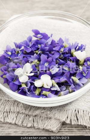 To use this stock image in your creative project, please select the size you need over to the right and click the "Add to Cart" button.
Your downloaded image will come with the Cutcaster watermark removed so don’t worry about the watermark you see on this page. Edible violets in bowl stock photo, Foraged edible purple and white violet flowers in bowl by Elena Elisseeva