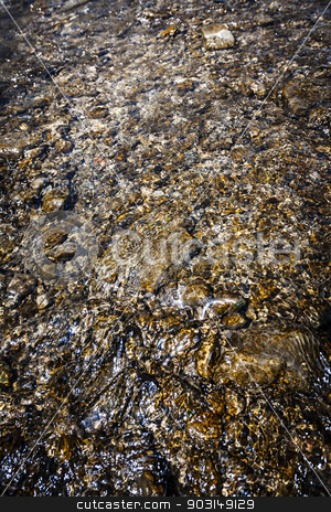To use this stock image in your creative project, please select the size you need over to the right and click the "Add to Cart" button.
Your downloaded image will come with the Cutcaster watermark removed so don’t worry about the watermark you see on this page. Rocks in water stock photo, Clean clear water flowing over smooth brown rocks by Elena Elisseeva