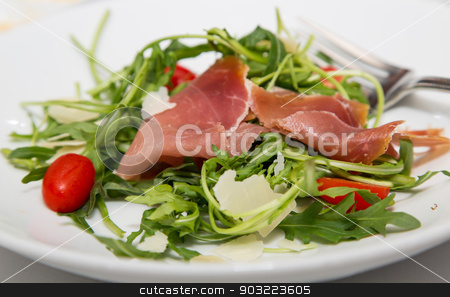 To use this stock image in your creative project, please select the size you need over to the right and click the "Add to Cart" button.
Your downloaded image will come with the Cutcaster watermark removed so don’t worry about the watermark you see on this page. Salad of Arugula and Prosciutto stock photo, A fresh salad of arugula greens, cherry tomatoes and prosciutto by Darryl Brooks