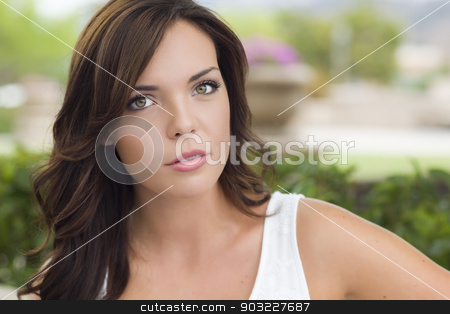 To use this stock image in your creative project, please select the size you need over to the right and click the "Add to Cart" button.
Your downloaded image will come with the Cutcaster watermark removed so don’t worry about the watermark you see on this page. Pretty Mixed Race Girl Portrait Outdoors stock photo, Pretty Mixed Race Girl Portrait Outdoors at the Park. by Andy Dean