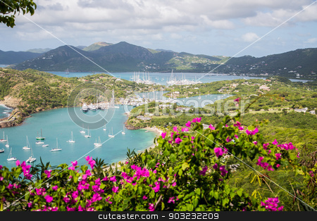 To use this stock image in your creative project, please select the size you need over to the right and click the "Add to Cart" button.
Your downloaded image will come with the Cutcaster watermark removed so don’t worry about the watermark you see on this page. Yacht Basin Beyond Flowers stock photo, Yacht basin in Antigua from hills by Darryl Brooks
