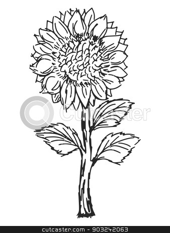 To use this stock image in your creative project, please select the size you need over to the right and click the "Add to Cart" button.
Your downloaded image will come with the Cutcaster watermark removed so don’t worry about the watermark you see on this page. sunflower stock vector clipart, hand drawn, sketch, cartoon illustration of sunflower by Oleksandr Kovalenko