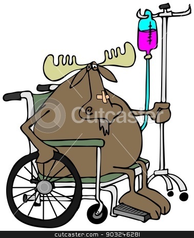 To use this stock image in your creative project, please select the size you need over to the right and click the "Add to Cart" button.
Your downloaded image will come with the Cutcaster watermark removed so don’t worry about the watermark you see on this page. Moose in a wheelchair stock photo, This illustration depicts a moose sitting in a wheelchair with an IV stand in the back. by Dennis Cox