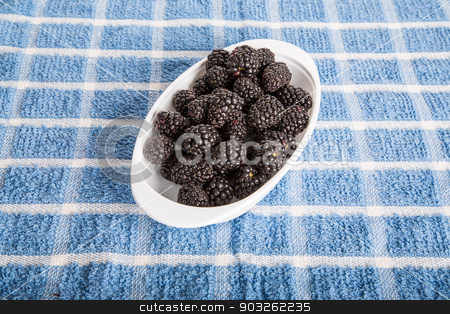 To use this stock image in your creative project, please select the size you need over to the right and click the "Add to Cart" button.
Your downloaded image will come with the Cutcaster watermark removed so don’t worry about the watermark you see on this page. Blackberries in White Dish stock photo, Fresh blackberries in a white dish on a blue towel by Darryl Brooks
