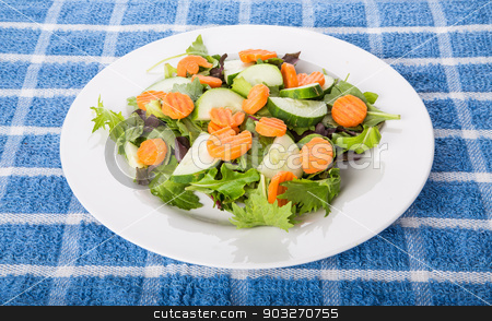 To use this stock image in your creative project, please select the size you need over to the right and click the "Add to Cart" button.
Your downloaded image will come with the Cutcaster watermark removed so don’t worry about the watermark you see on this page. Fresh Salad of Greens Cucumber and Carrots stock photo, A fresh salad of greens, cucumber, and carrots in a white plate by Darryl Brooks