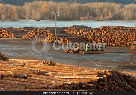 To use this stock image in your creative project, please select the size you need over to the right and click the "Add to Cart" button.
Your downloaded image will come with the Cutcaster watermark removed so don’t worry about the watermark you see on this page. Large Timber Wood Log Lumber Processing Plant Riverside Columbia stock photo, Large storage yard for logging industry export from the Columbia River by Christopher Boswell