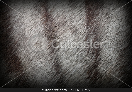 To use this stock image in your creative project, please select the size you need over to the right and click the "Add to Cart" button.
Your downloaded image will come with the Cutcaster watermark removed so don’t worry about the watermark you see on this page. african antelope fur stock photo, african antelope fur, real texture with vignette by coroiu octavian