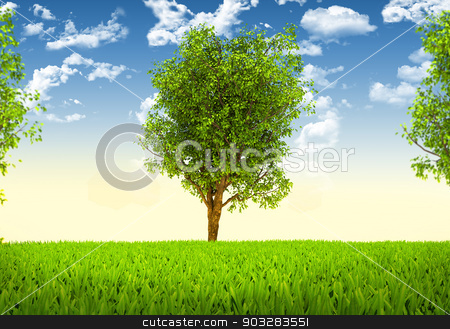 To use this stock image in your creative project, please select the size you need over to the right and click the "Add to Cart" button.
Your downloaded image will come with the Cutcaster watermark removed so don’t worry about the watermark you see on this page. Trees and green landscape stock photo, Trees and green landscape. Beautiful natural background by cherezoff