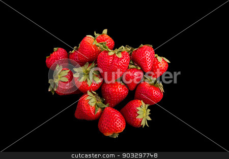 To use this stock image in your creative project, please select the size you need over to the right and click the "Add to Cart" button.
Your downloaded image will come with the Cutcaster watermark removed so don’t worry about the watermark you see on this page. Red Strawberries on Black Background stock photo, Fresh, red, ripe strawberries on a black background by Darryl Brooks