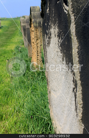 To use this stock image in your creative project, please select the size you need over to the right and click the "Add to Cart" button.
Your downloaded image will come with the Cutcaster watermark removed so don’t worry about the watermark you see on this page. Row of old graves in a cemetery stock photo, Row of old graves in a cemetery receding into the distance. by Martin Crowdy
